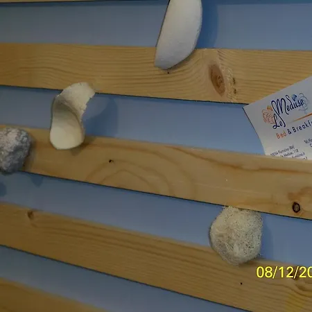 Le Meduse 2* Fiumicino